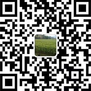 扫一扫