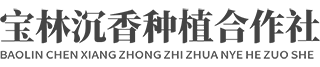 沉香树